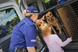 Policjantka z małą dziewczynką stoją przy samochodzie w którym jest policyjny pies służbowy